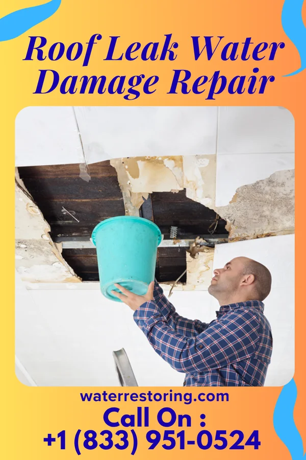 Roof Leak Water Damage Repair in Pembina, ND
